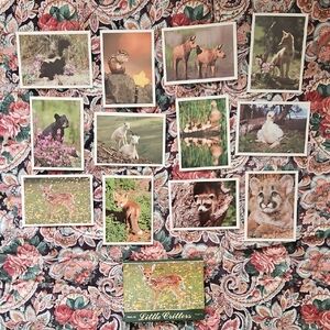 Vintage 1989 Little Critters Set Of 12 Art Print Set.  Collector Edition. Impact